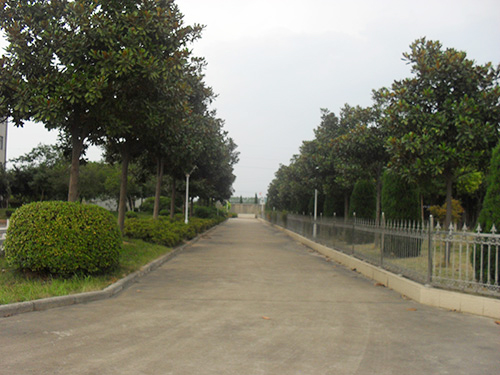 廠區(qū)內(nèi)